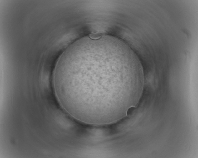 X0000114220209200910231450