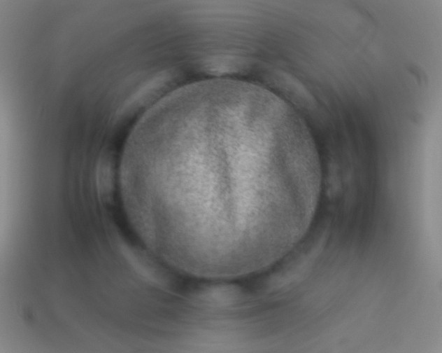 X0000114220210200910231450