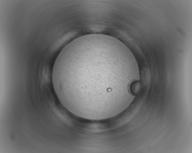 X0000114220212200910231450