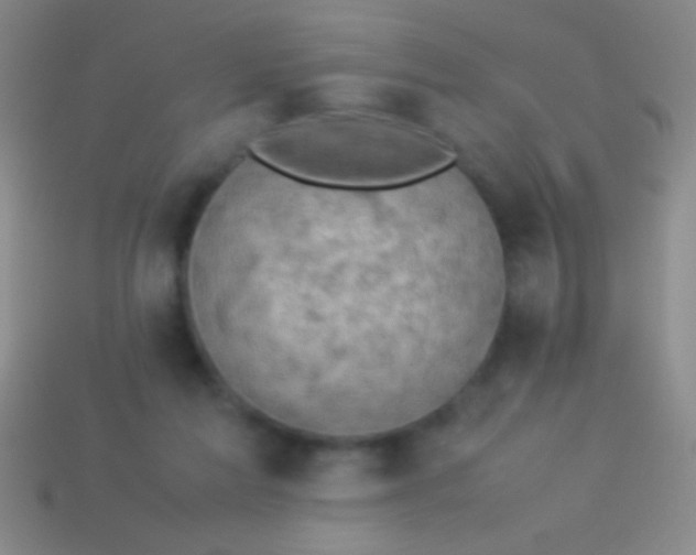 X0000114220213200910231450