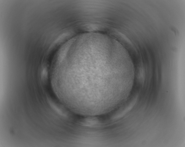 X0000114220214200910231450