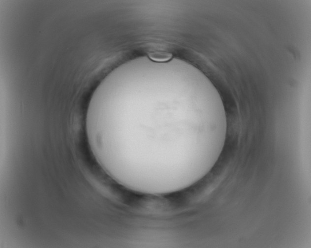 X0000114220215200910231450