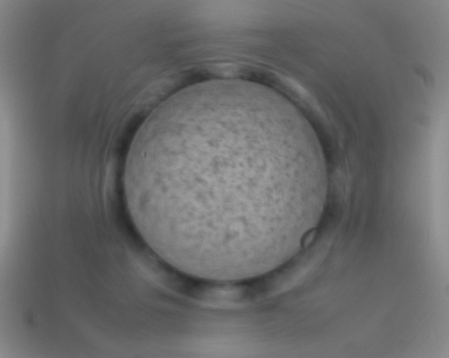 X0000114220217200910231450