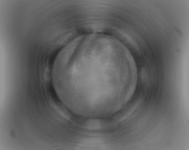 X0000114220218200910231450