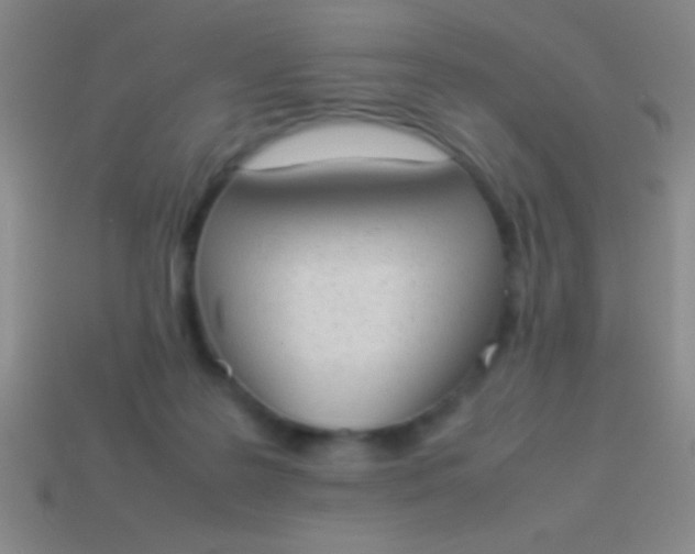 X0000114220219200910231450