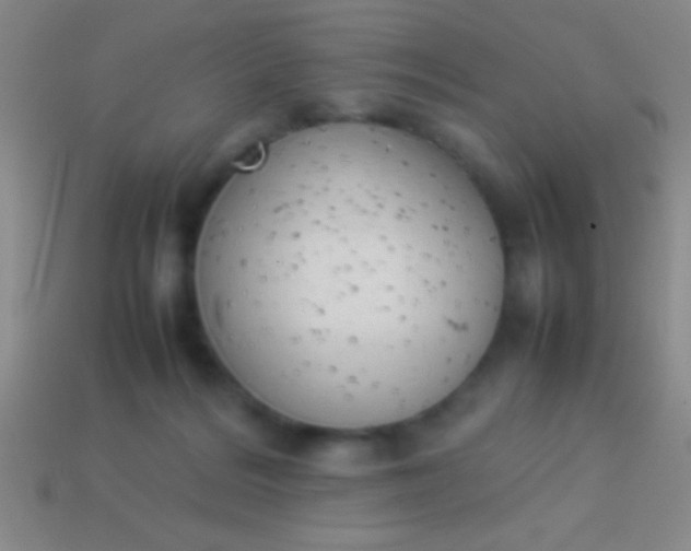 X0000114220220200910231450