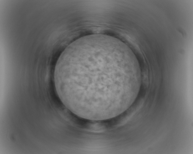 X0000114220221200910231450