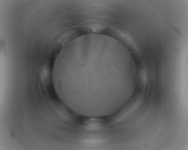 X0000114220222200910231450