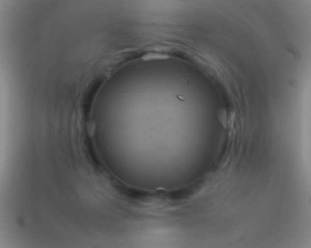 X0000114220223200910231450