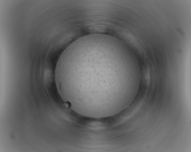 X0000114220224200910231450