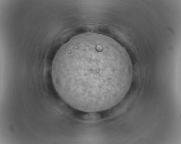 X0000114220225200910231450