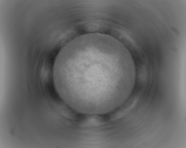 X0000114220226200910231449