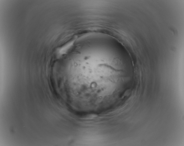 X0000114220227200910231449