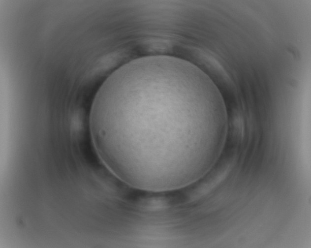 X0000114220228200910231449