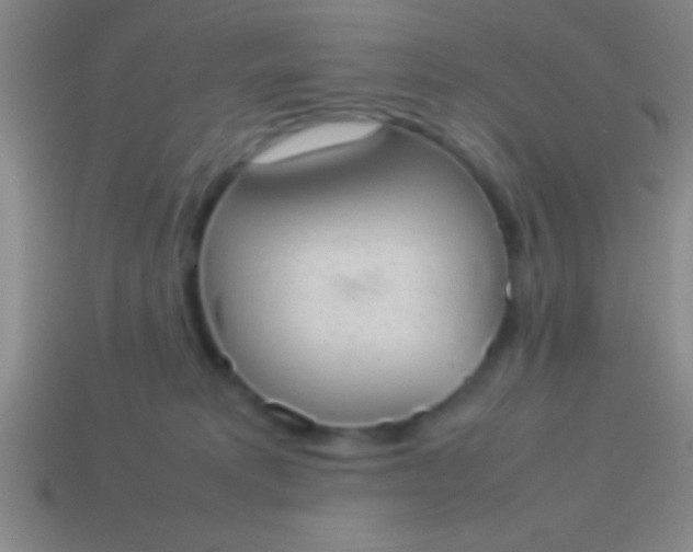 X0000114220229200910231449