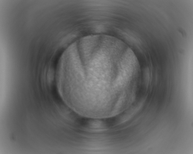 X0000114220230200910231449