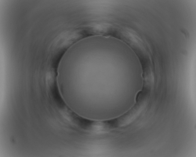 X0000114220231200910231449