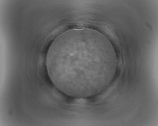 X0000114220233200910231449