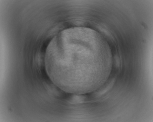 X0000114220234200910231449