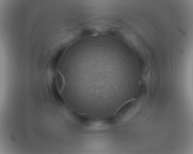 X0000114220235200910231449