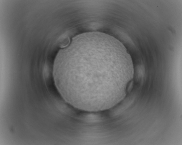 X0000114220236200910231449