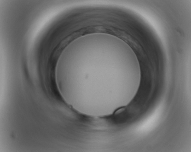 X0000114220239200910231449