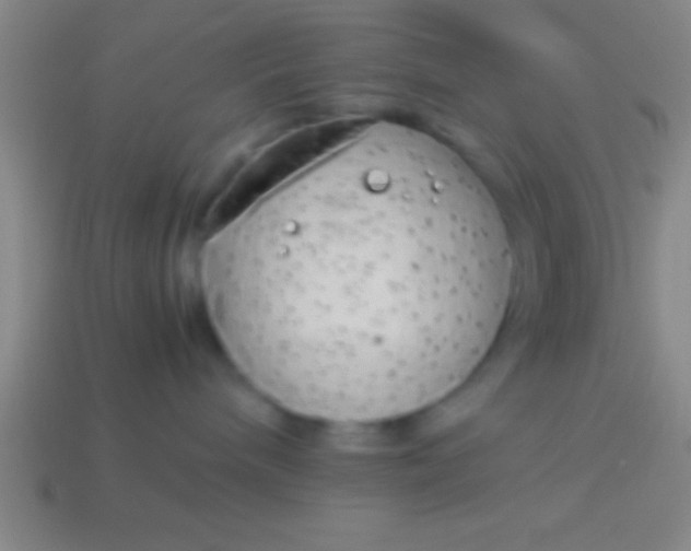 X0000114220240200910231449