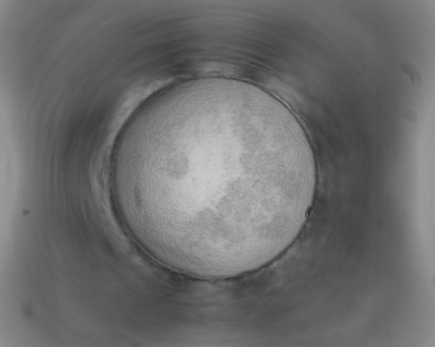 X0000114220241200910231449