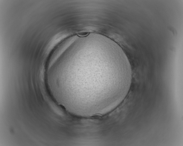 X0000114220242200910231449