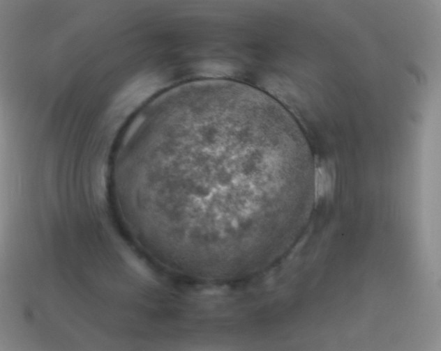 X0000114220243200910231449