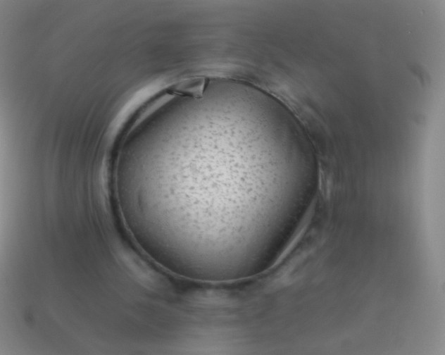 X0000114220244200910231449