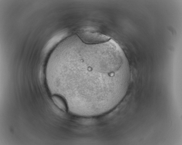 X0000114220245200910231449