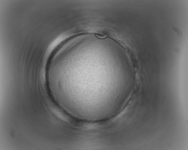 X0000114220246200910231449