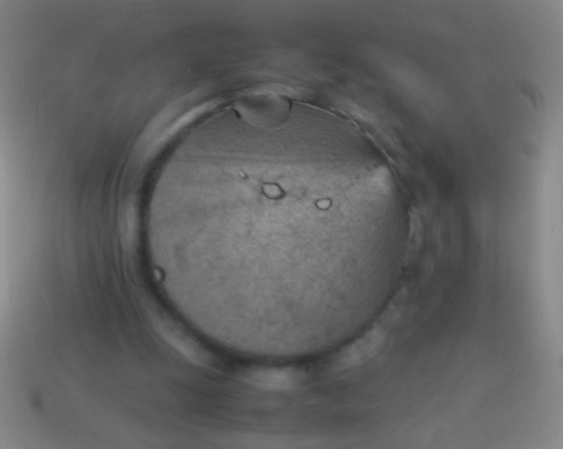 X0000114220247200910231449