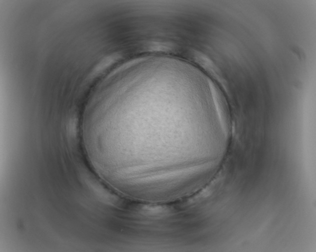 X0000114220249200910231449