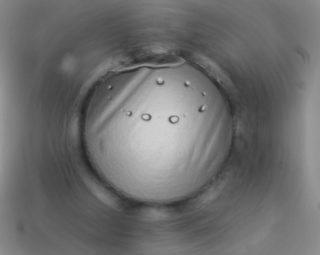 X0000114220250200910231449