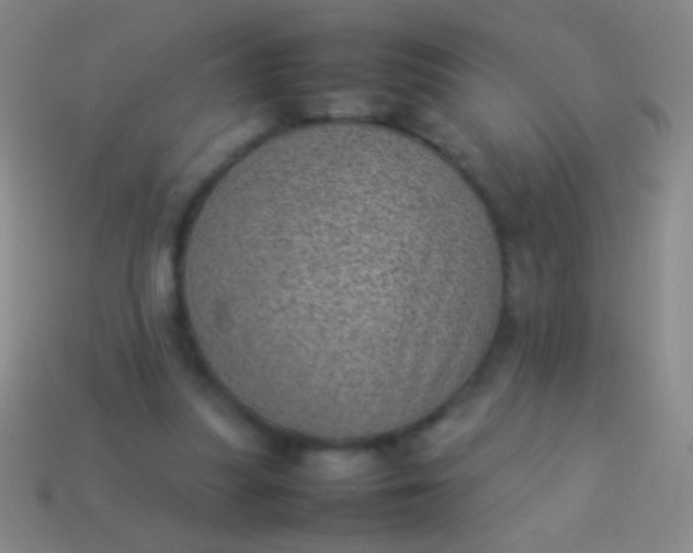 X0000114220251200910231449