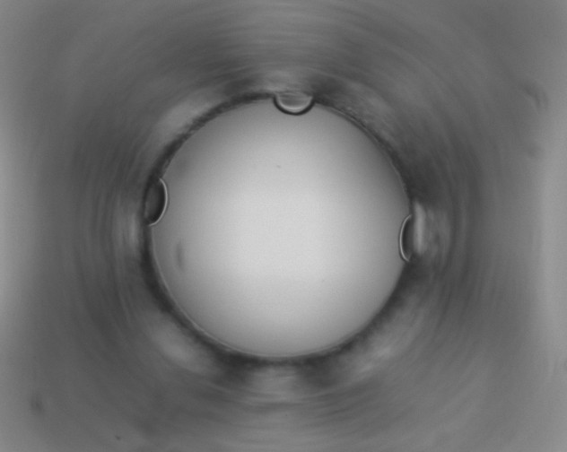 X0000114220252200910231449