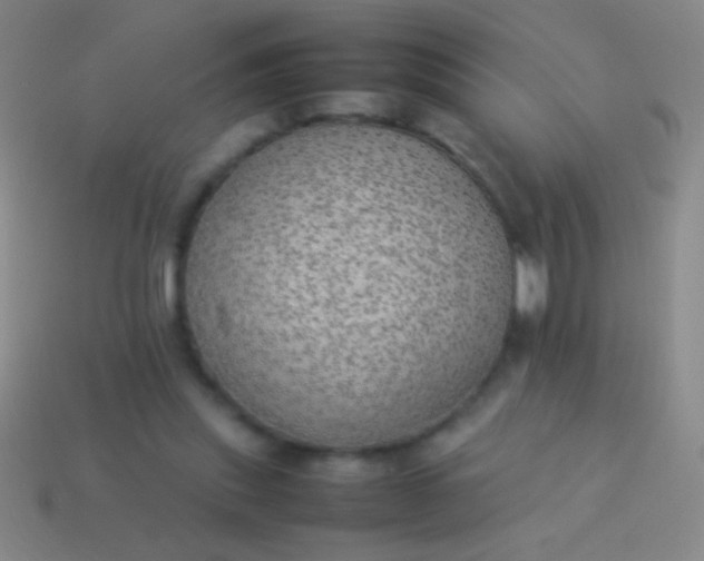 X0000114220253200910231449