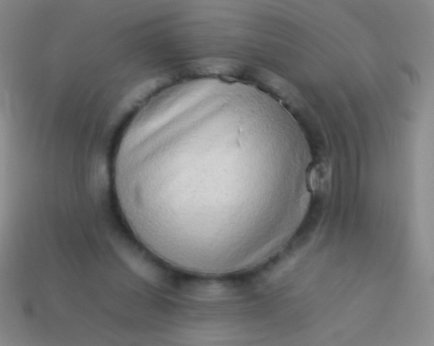 X0000114220254200910231449