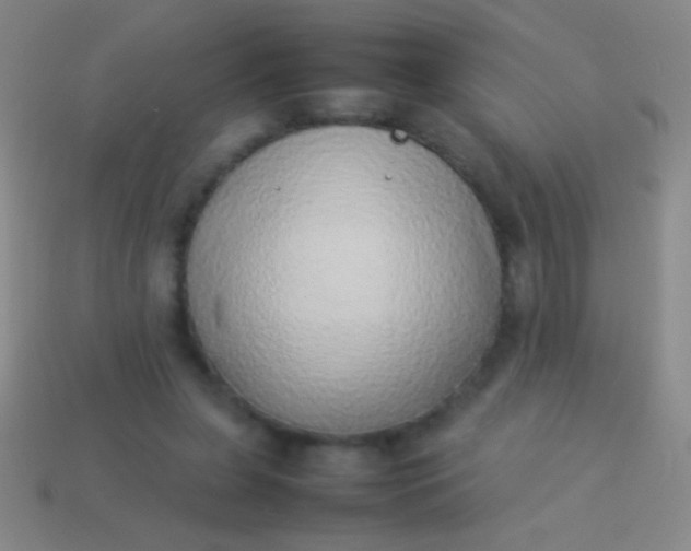 X0000114220255200910231449