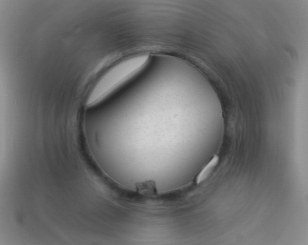 X0000114220256200910231449