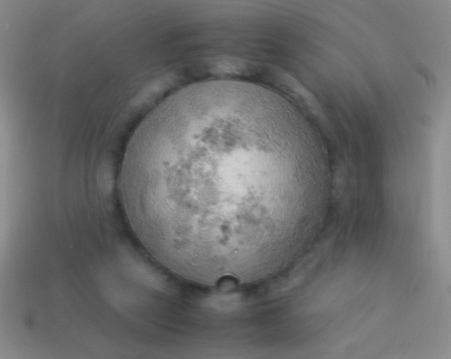 X0000114220257200910231449