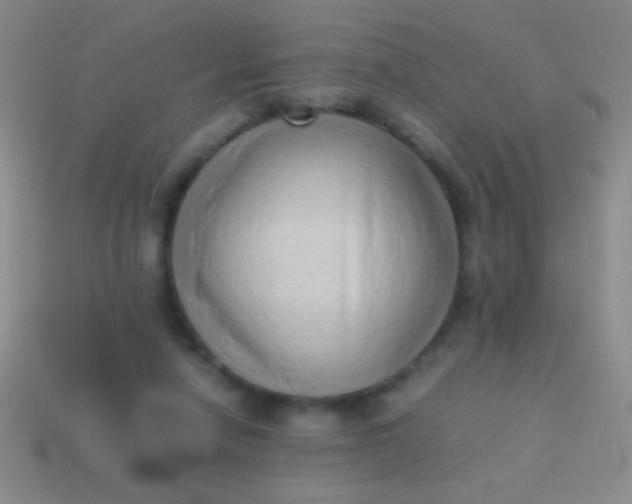 X0000114220258200910231449