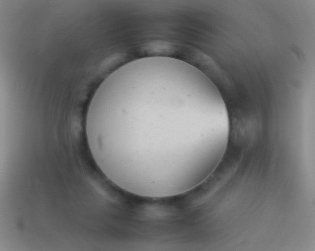 X0000114220259200910231449