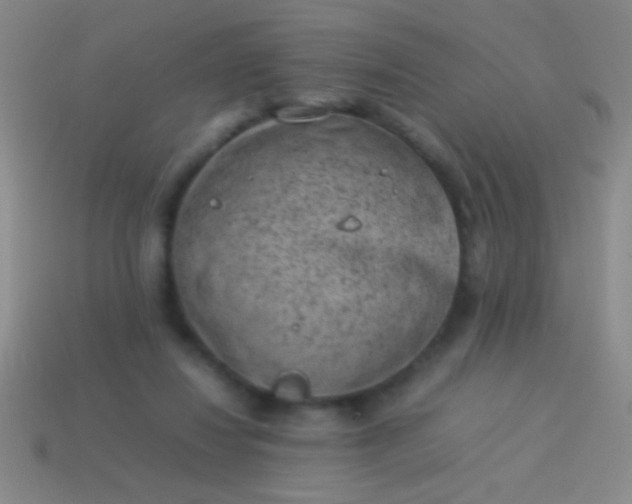 X0000114220260200910231449