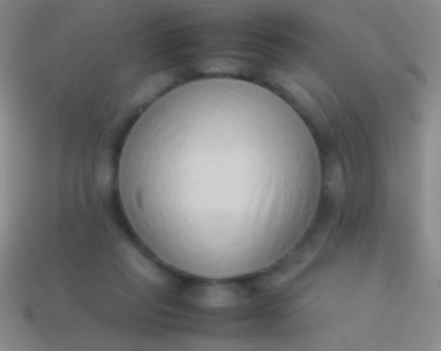 X0000114220261200910231449