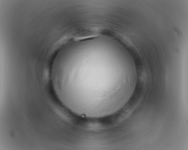 X0000114220262200910231449