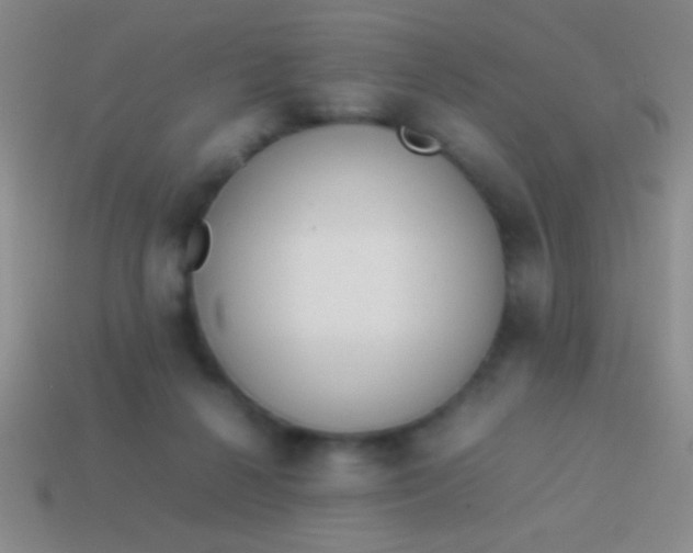 X0000114220264200910231449