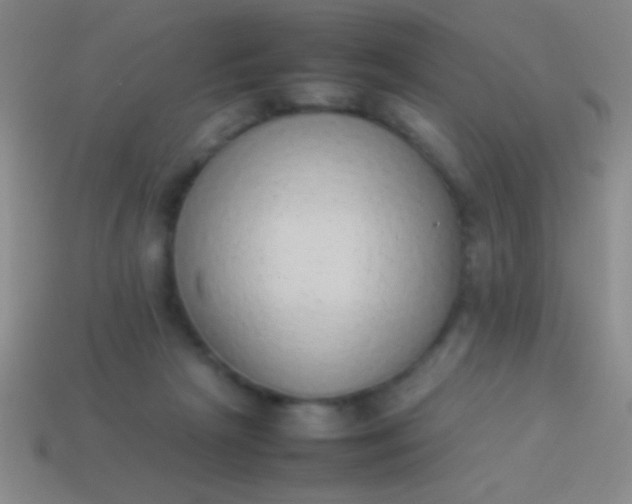 X0000114220265200910231449